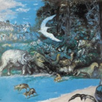 Animals