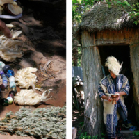 Ainu, Portrait of the Wind