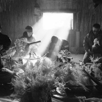 Ainu, Portrait of the Wind