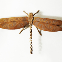 Hankucotca