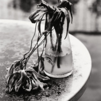 [Untitled]