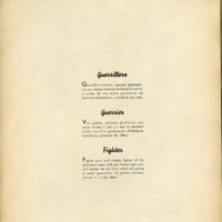 Guerrillera [Fighter]